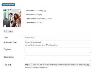Media File URL
