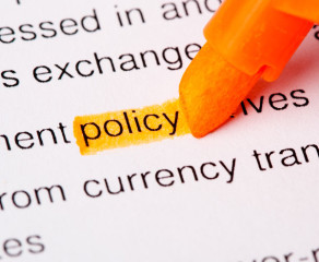 Policy highlighted text