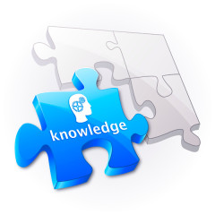 knowledge management puzzle piece