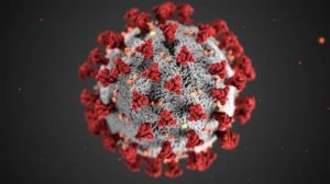 Coronavirus_cdc http://phil.cdc.gov #23311